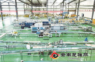 摩爾農(nóng)莊 以技術(shù)服務(wù)為引擎推動三產(chǎn)融合發(fā)展